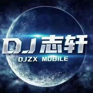 蔡晓-从来不在乎（DJZX）（鲁QDJZX / 蔡晓 remix）