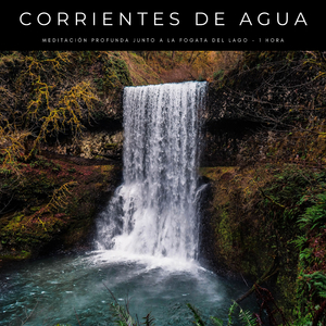 Corrientes De Agua: Meditación Profunda Junto A La Fogata Del Lago - 1 Hora