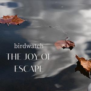 The Joy Of Escape