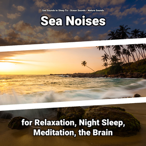 Sea Waves Background Sounds to Sleep By