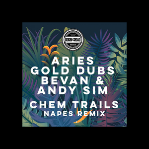 Chem Trails (Napes Remix)