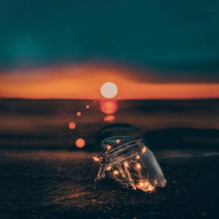 治愈系｜惊艳了夏日的时光