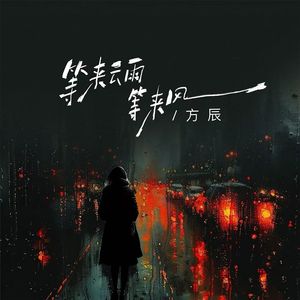 等来云雨等来风（DJ浩然版）