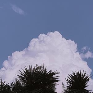 执念（翻自 .Laom）