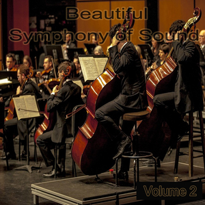 Beautiful Symphony of Sound 5605