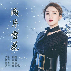 两片雪花