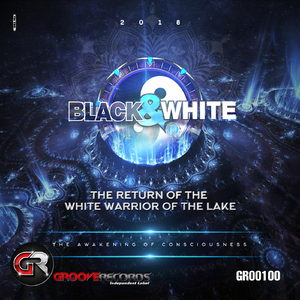 Shiny Disco Balls (Jose Vizcaya Remix)