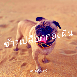ข้าวเปลือกกองฝัน