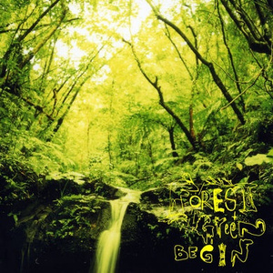 夜明けの森~君を見ている~朝の森