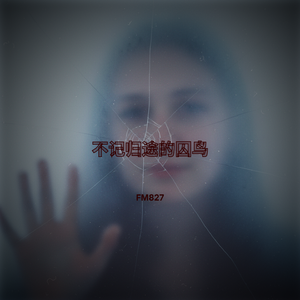 不记归途的囚鸟