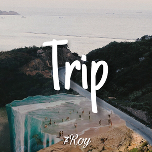 Trip