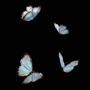 Maroon 5 ，SZA&Lauv-What Lovers do X I Like Me Better (Bootleg)（Dark / SlK27 remix）