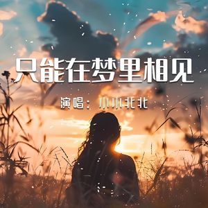 只能在梦里相见