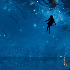 Night Diver