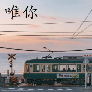 像傻子一样爱你