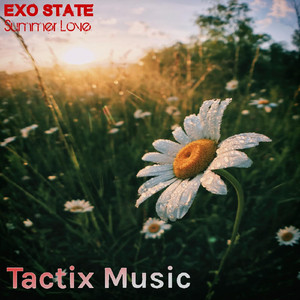 Linking (Original Mix)