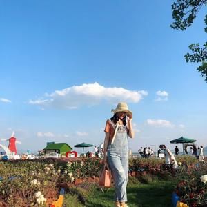 夜晚的旋律和思念