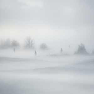 Туман над водой