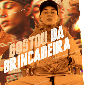 Gostou da Brincadeira
