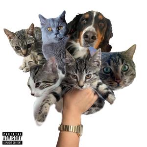 HAUSTIER (feat. Horst & KanisterKopf)