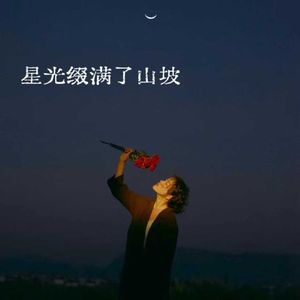 星光缀满了山坡