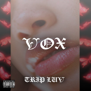 Vox