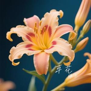 爱你 (Cover 王心凌)