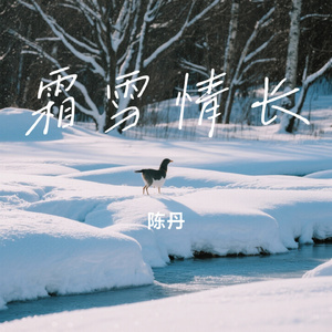 霜雪情长