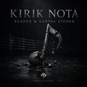 Kırık Nota (feat. Carina Çiğdem)