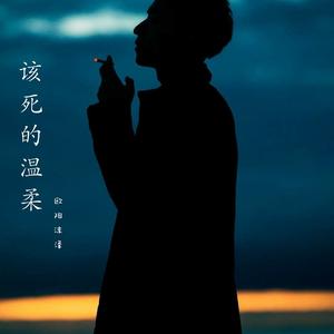 该死的温柔（翻自 王嘉尔）