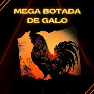 MEGA BOTADA DE GALO