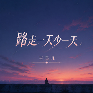 路走一天少一天