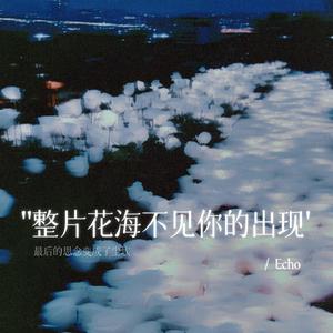 整片花海不见你的出现