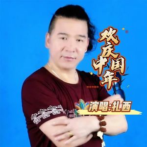 欢庆中国年DJ版