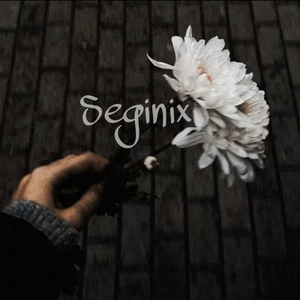 Seginix(思念）