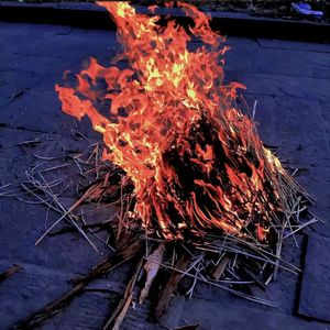 弃（Prod.EVOMUSIC）