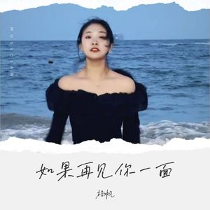 如果再见你一面（吉他版）