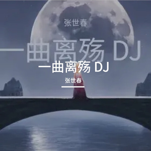 一曲离殇 DJ 伴奏