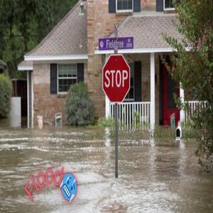 Flood