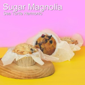 St. Stephen (Arr. for Piano)