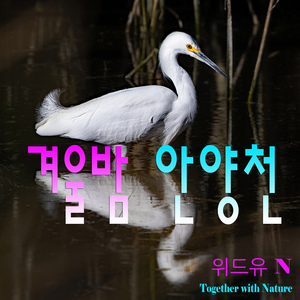 겨울밤, 안양천