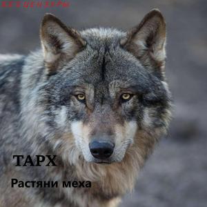 Растяни меха без цензуры