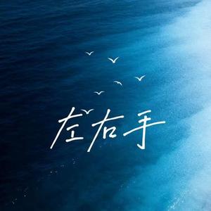 左右手