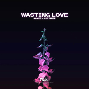 Wasting Love (Radio Edit)