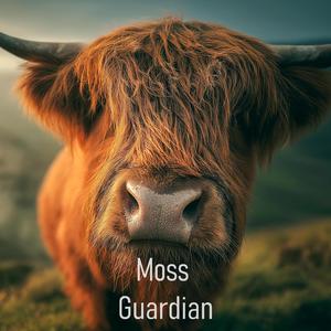 Lost Mountain Melody