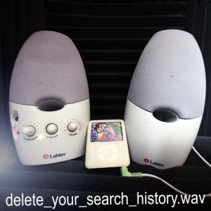 delete_your_search_history.wav