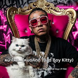 หน้าโหด...โหมดคิตตี้ (Bad Boy Kitty)