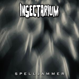 spelljammer