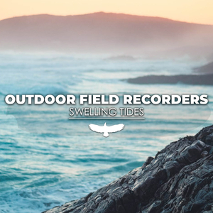 Swelling Tides (Ocean)