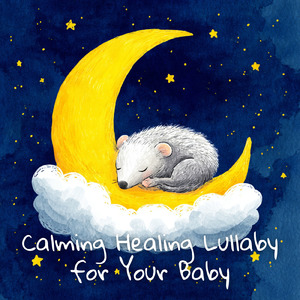 癒し音楽-α波の刺激-